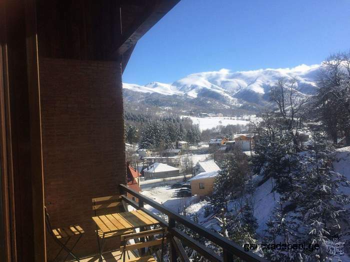 Apartment in "Bakuriani Residence" Hotel in Georgia