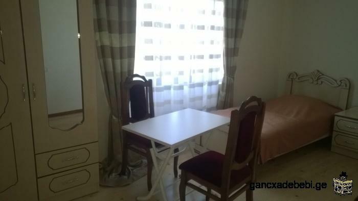 rooms rent in kutaisi.