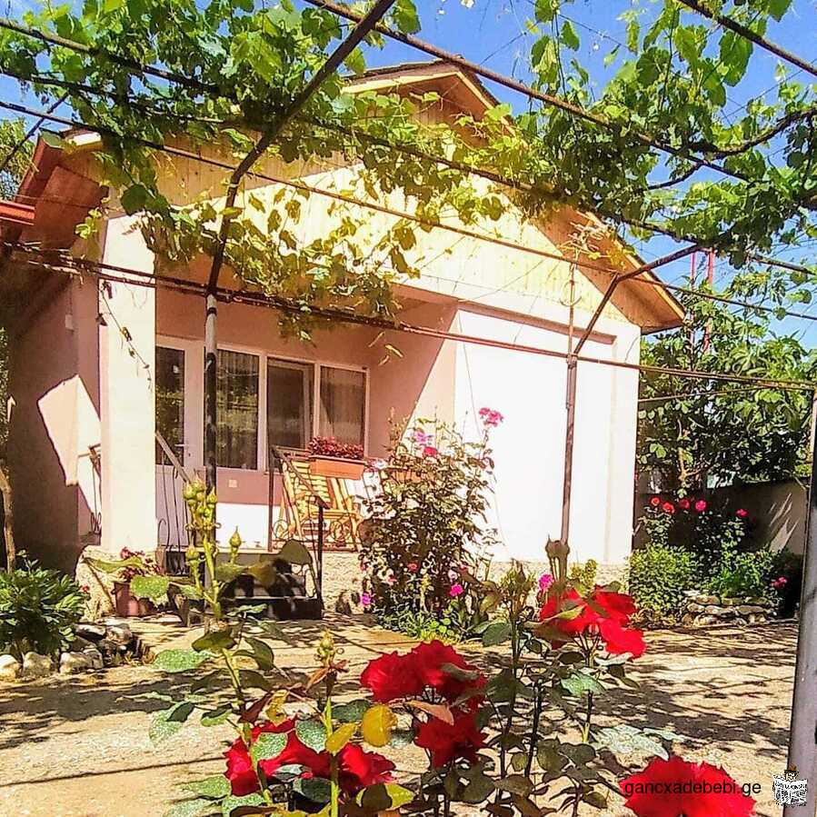 Maison d'hôtes "Cottage" à Ambrolauri