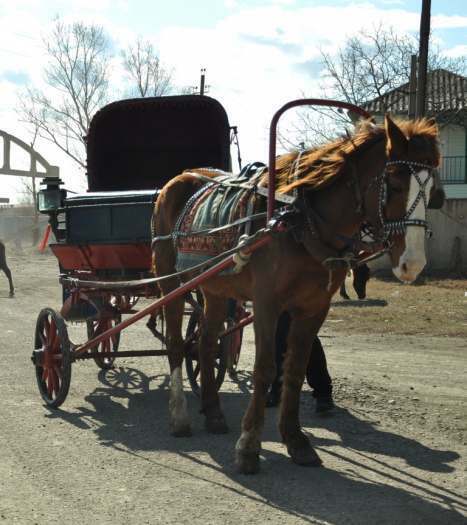 продается