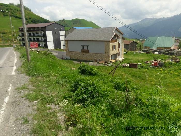 Land for sale in Gudauri 3690 sq.m.