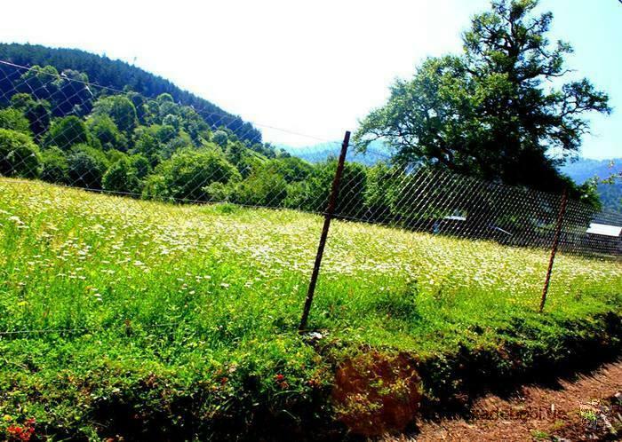 A vendre dans le village de Mazetamze