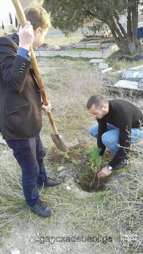 ვიწვევთ მოხალისეებს არასამთავრობო ორგანიზაციაში საქველმოქმედო აქტივობებში ჩასართავად