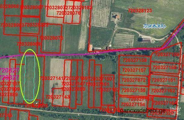 Land for sale in Natakhtari