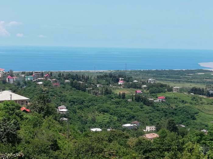 ქირავდება კერძო სახლის პირველი სართული