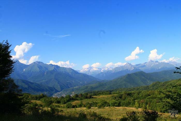 daisveneT zemo raWaSi, tyeSi Cafluli sofeli xirxonisi