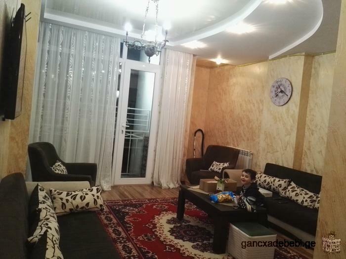 for rent apartment in batumi near the beach