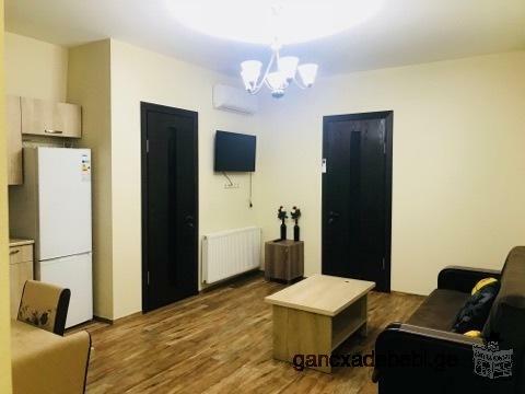 Flat for rent newly renovated in perfect condition