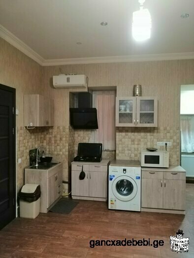 One room studio type apartment for rent in Ortachala.