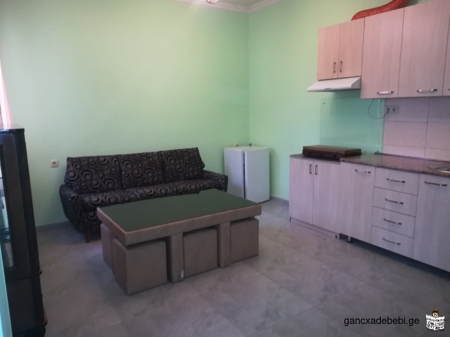 Apartment For Rent in Tbilisi