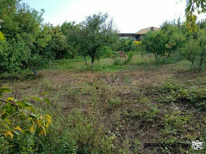 Land for sale in the village of Navaz