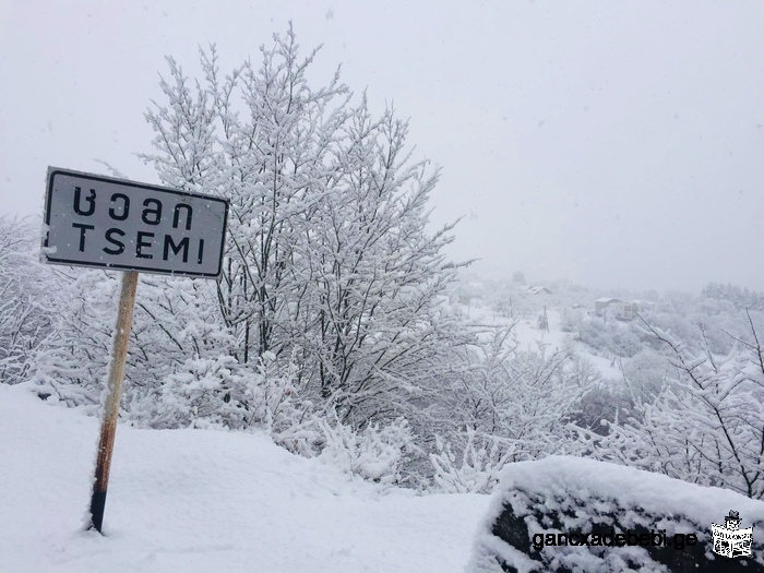 Bienvenue à Borjomi, Tsemi.