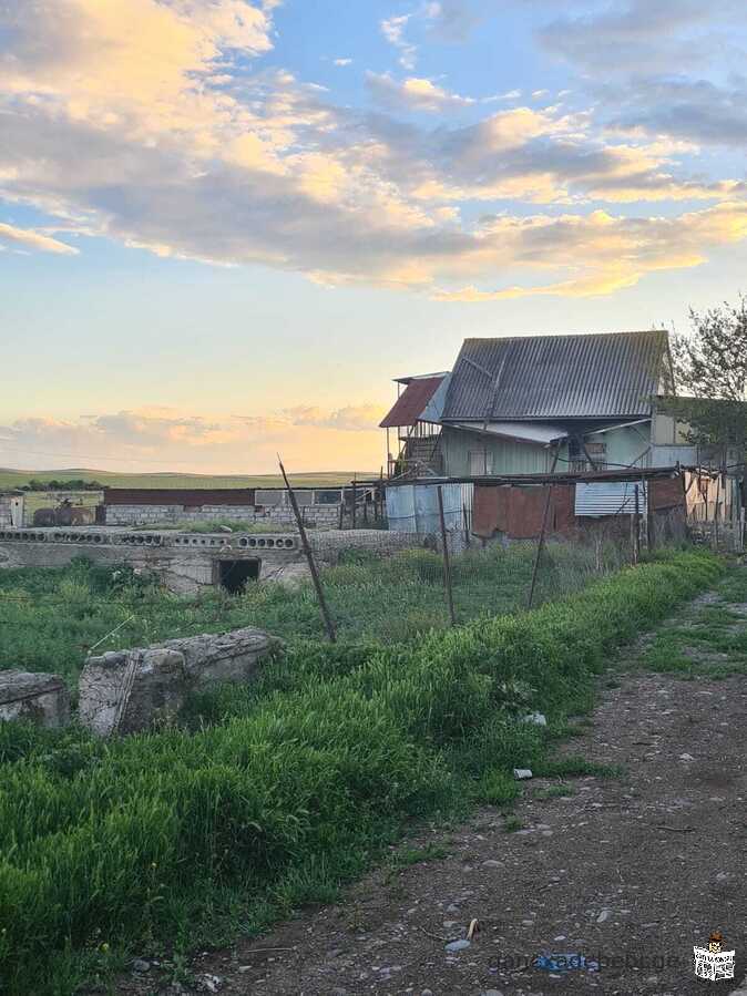 სასწრაფოდ იყიდება2 სართულიანი სახლი და ფერმის შენობა