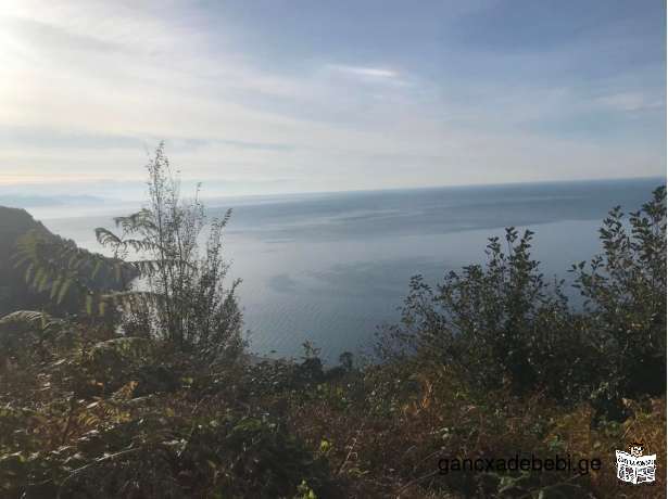 Urgently! A plot of land is for sale in Batumi, near the border of Gonio-Kvariati