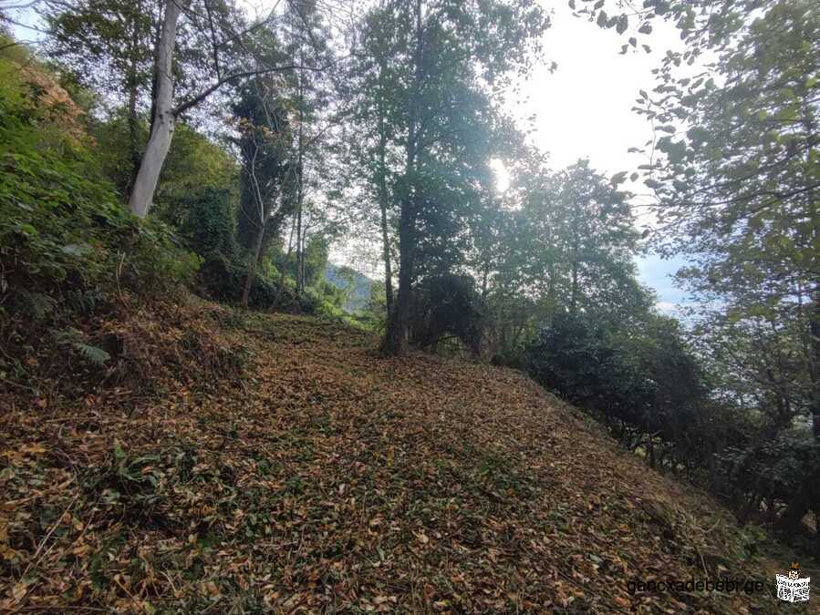 Terrain à vendre à Kvariati, avec une vue parfaite sur la mer