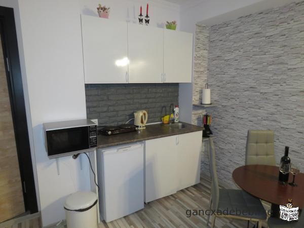 Flat for rent in Gudauri