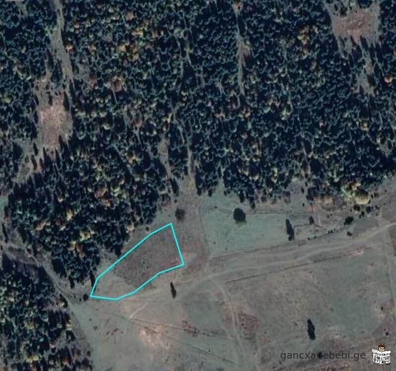 6000 m2 plot of land for sale