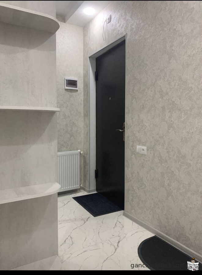 Rent Apartment in Kutaisi