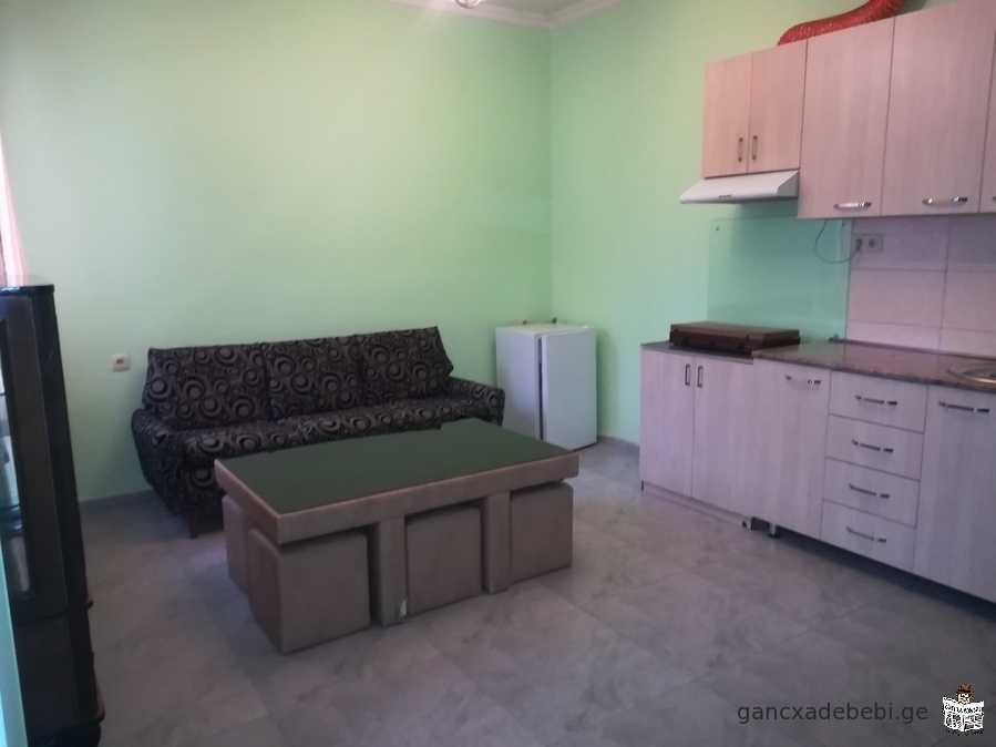 Apartment For Rent in Tbilisi