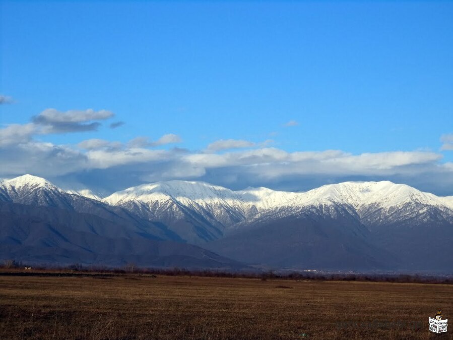 Terrain à vendre près de Telavi