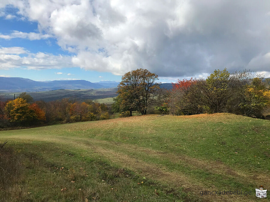 Un terrain à Orbet est à vendre