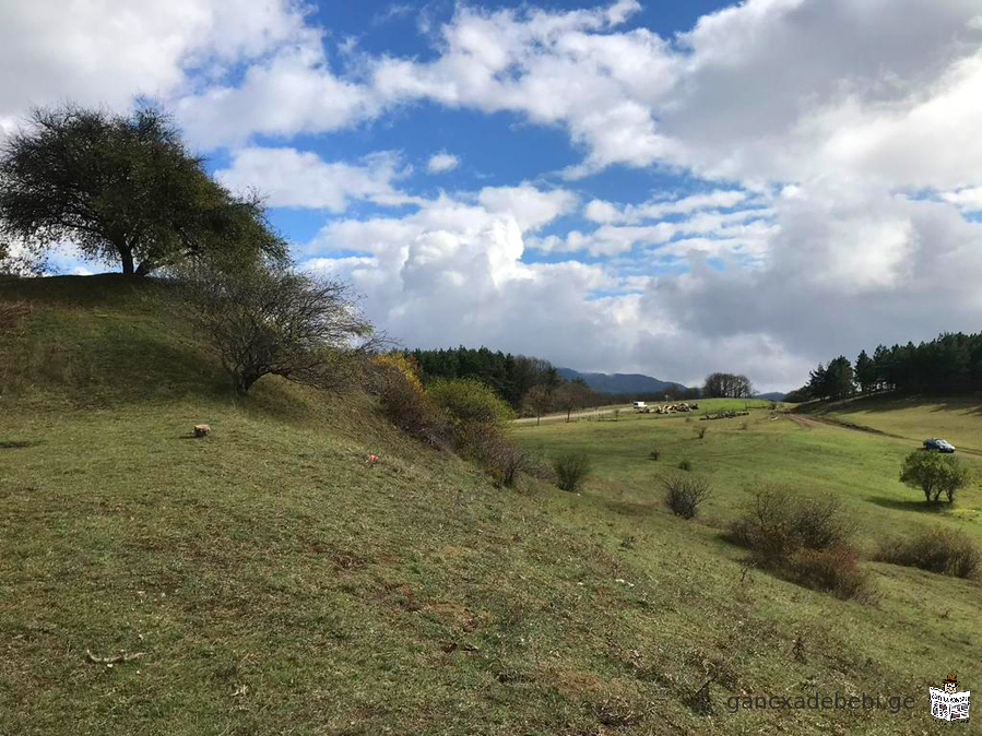 Un terrain à Orbet est à vendre