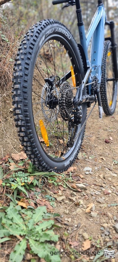 Electric bicycle in Tbilisi