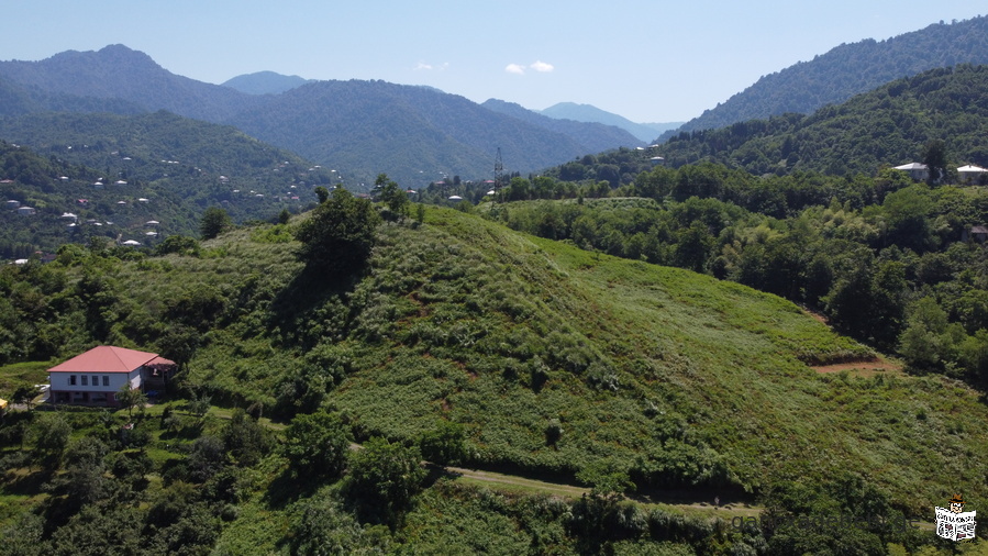 Non-agricultural land in Chakvi, Chaisubani, Ortabatumi, Charnali