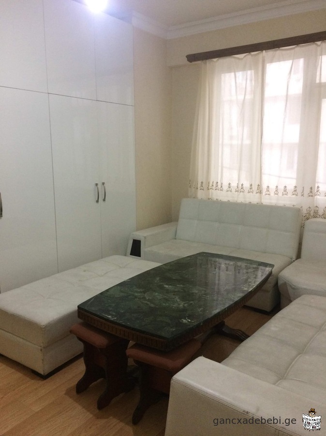 An apartment for rent on Dolidze Street.