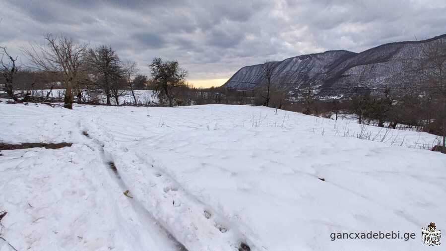 იყიდება ხონის რაიონ სოფელ კინჩხაში მიწის ნაკვეთი 4500კვ.მ