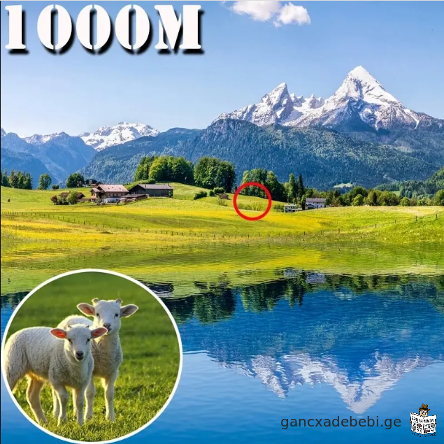 500X25 portatuli HD Zoom 5000M/50000M durbindi Zlieri dasakeci teleskopi