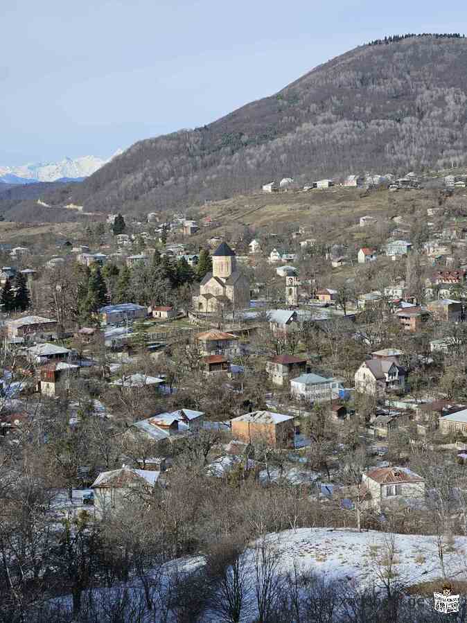 iyideba miwis nakveTi raWaSi, nikorwmindaSi