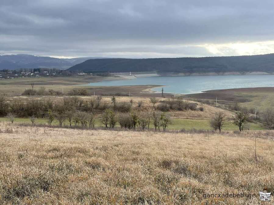 111925 $ iyideba miwis nakveTi 4477 kv.m. farTis. sionSi,daba TianeTis municipalitetSi