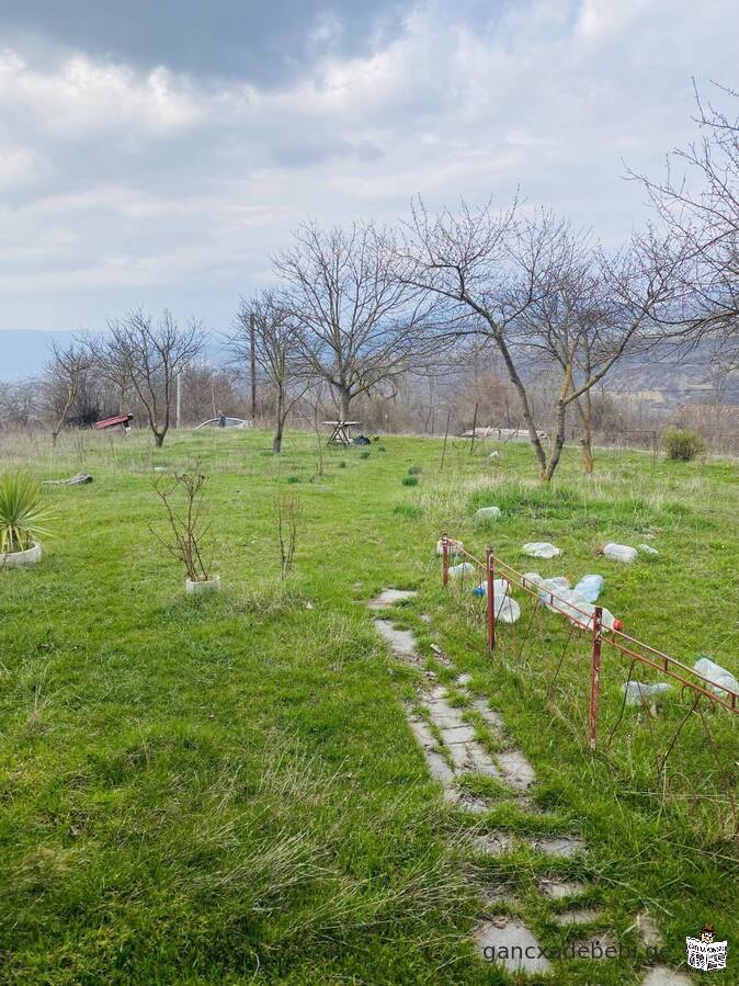 იყიდება ნაკვეთი მცხეთის რაიონ სოფელ კოტორაანთკარში