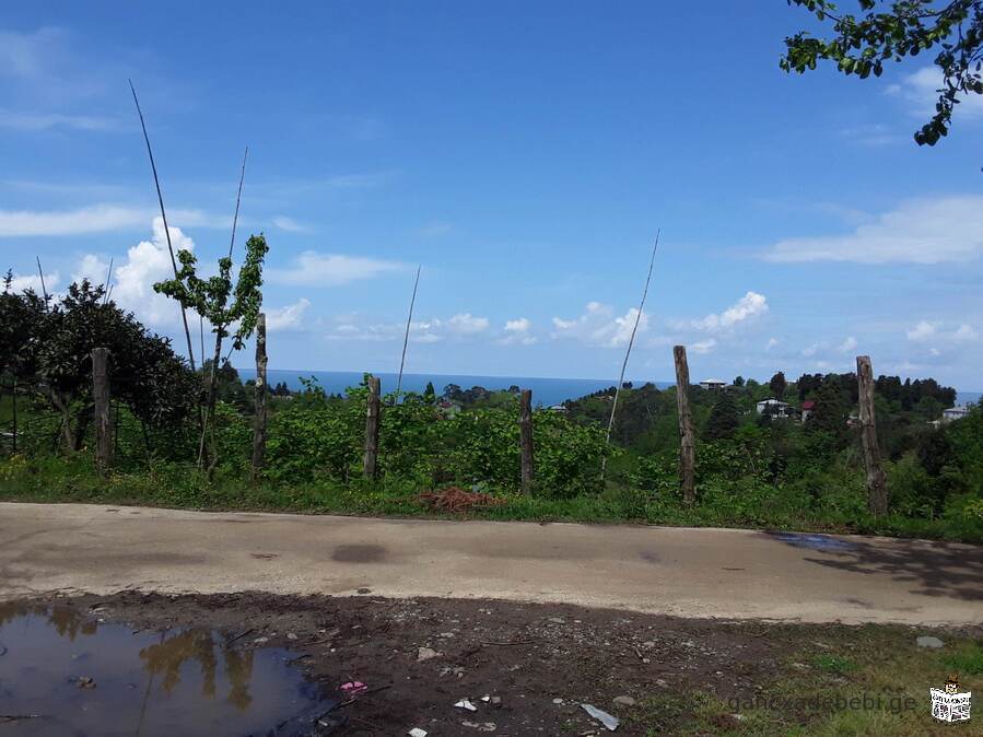 In Chakvi, in the resort area, a plot of 6900 sq.m. is for sale from the owner.