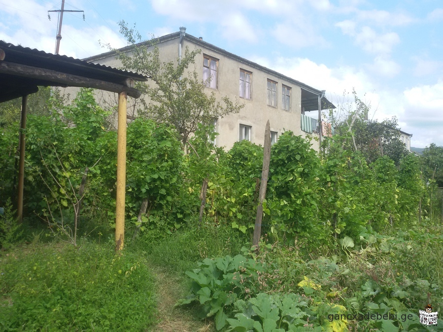 For sale, Kharagauli municipality, village 673 sq.m homestead plot in Borit