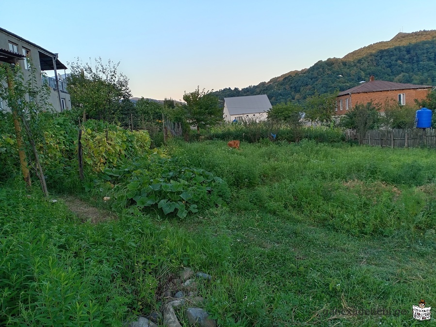 iyideba xaragaulis municipaliteti, sof. boriTSi 673 kv.m sakarmidamo miwis nakveTi