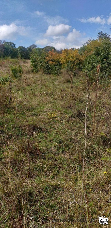 Land for sale in Chontili. Dusheti.