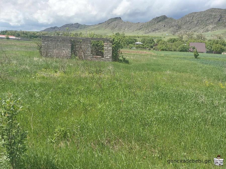 Land for sale in Akhaltsikhe, Tsnis village