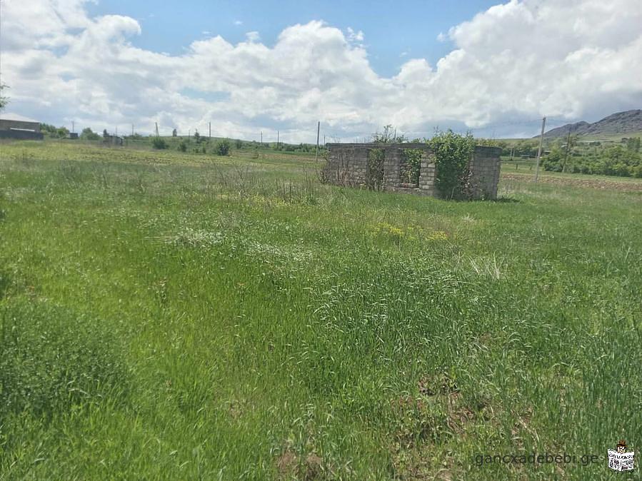 Land for sale in Akhaltsikhe, Tsnis village