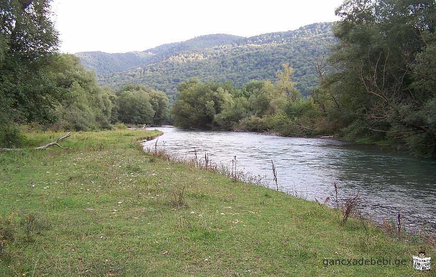 იყიდება ნაკვეთი თიანეთში