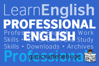 Professional taught languages - English, Hindi, Mahaji