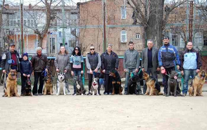 სპორტულ-საწვრთნელი მოედანი . GEODOG school