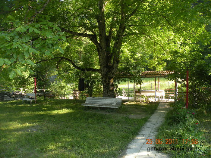 Rent a cottage near the forest in Borjomi