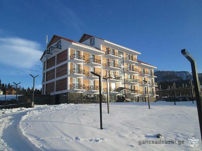 Rent appartment in Bakuriani