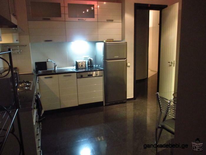 Modern Two Room Flat for Rent - Mtskheta Street in Vake Area of Tbilisi