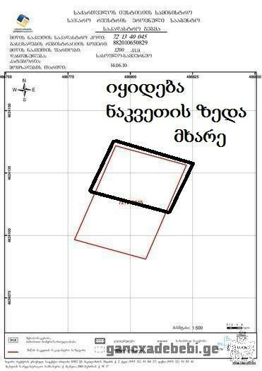 Land for Sale near Tbilisi Sea