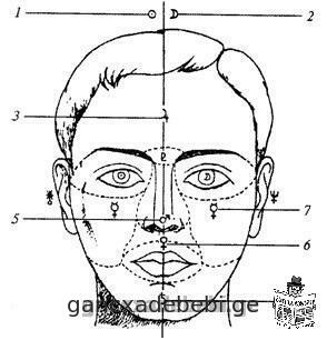 Физиогномика - чтение лиц