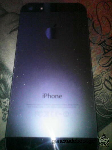 iPhone5