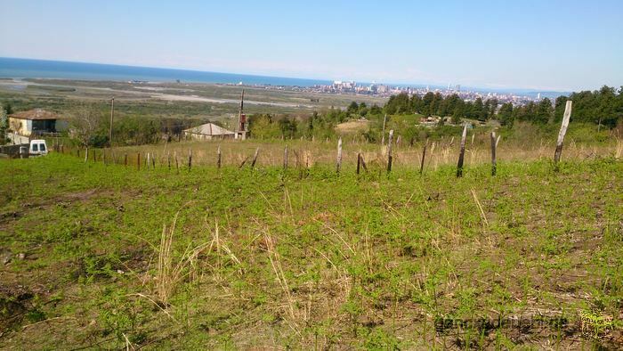 Land for Sale in Gonio